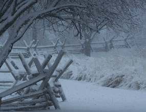 A heavy blanket of snow covers park grounds.