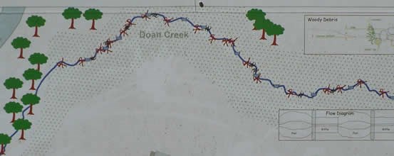 map showing new Doan creek channel