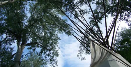 Looking up in the Tipi grove, one can see the top of the tipi, leaves of the poplars, and blue sky.