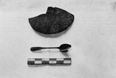 Portion of an iron burr and a teaspoon.