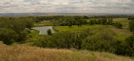 view of park from hill top