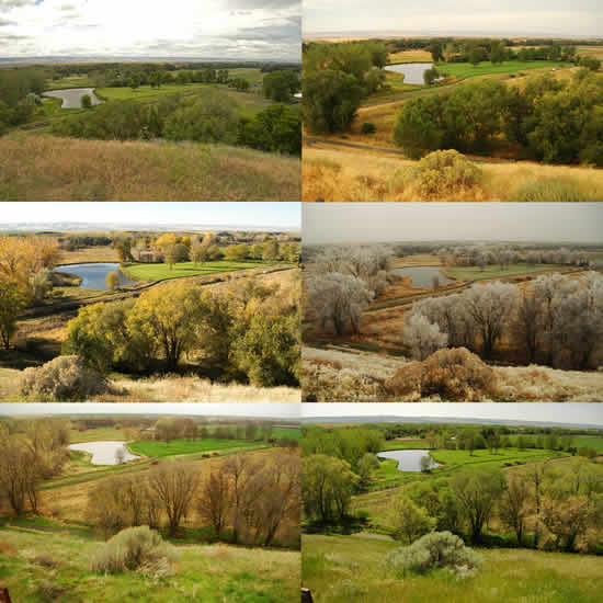 Six images of the park taken from the same spot at different months of the year