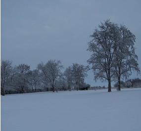 Grounds are covered with snow, but overcast sky and snow both all blue.