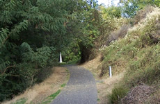 Paved path passes by Alice Clarissa's grave stone at base of hill; thick stand of trees on right: Gray's memorial in distance.