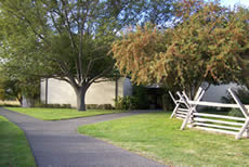Flat, paved path passes under two trees as it approaches Visitor Center.