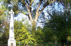 Gray's monument with shrubs and trees in background
