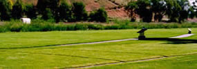 View of paved path through a lawn.