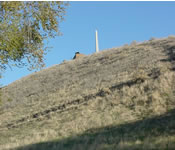 Looking up at monument hill from its base.