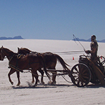 Year One chariot. Year One chariot.