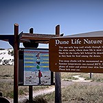 Two signs, one illustrating a hiker and the other with information about Dune Life Nature trail