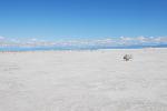 The Alkali Flat