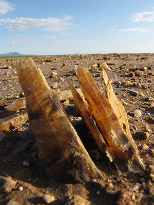 Selenite crystals at Lake Lucero
