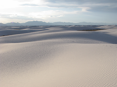 The white dunes