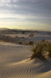 Sunset on the dunes