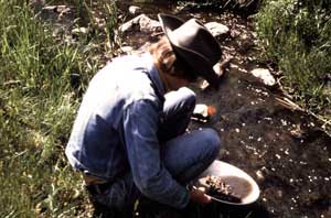 Panning for Gold
