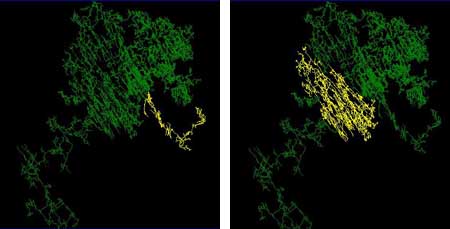 Lakes Zone (left) & Half-Mile Hall Zone (right) are in yellow