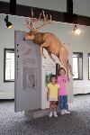 Junior Ranger