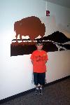 Junior Ranger