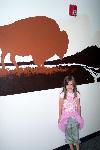 Junior Ranger