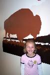 Junior Ranger