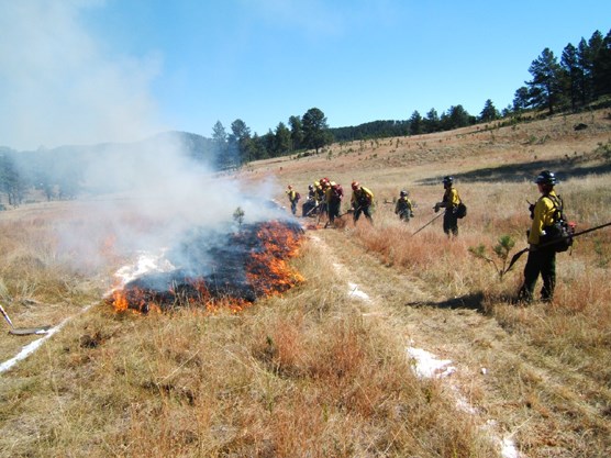 Crews prepare for a prescribed burn by creating a perimeter line around the burn area.