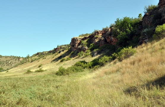 Sunny, summer day looking up at the cliffs that make up the buffalo jump.