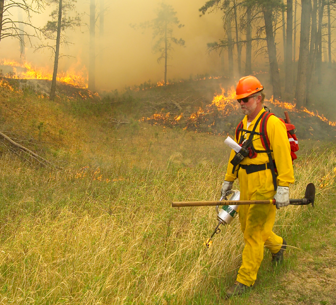 Firefighter, dressed in yellow Nomex, walks along a fire line with a drip torch.