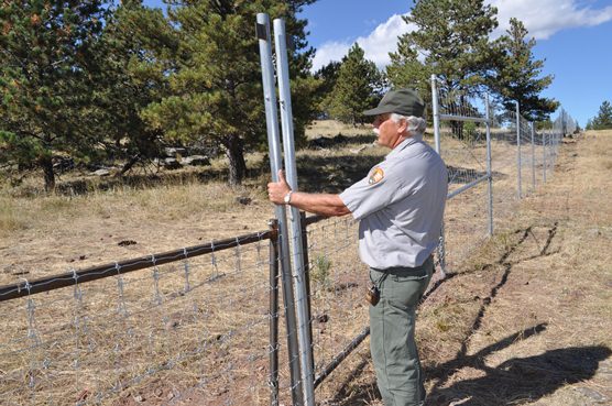 Mark Greene, General Maintenance Supervisor at Wind Cave National Park, is standing next to an example of a drop-down gate that will be used to help Wind Cave and Custer State Park manage their elk population.