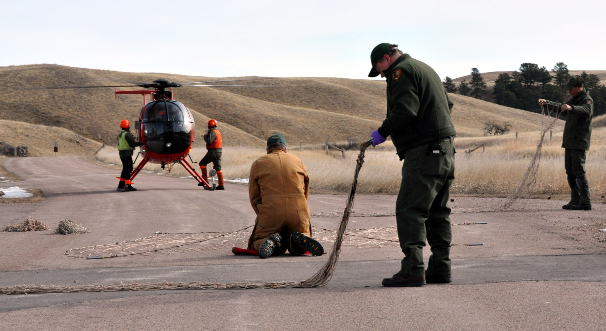 Crew members from Leading Edge Aviation prepare to board their helicopter while, from left, Dr. Glen Sargeant, Dan Roddy, and Duane Weber repackage nets used to capture elk.