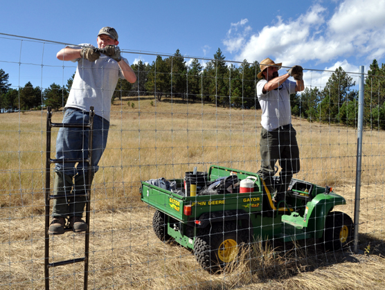 two park employees working on the elk fence