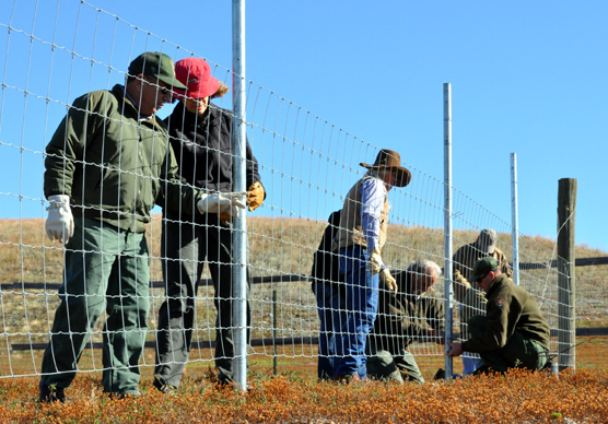 People working along a fence line.