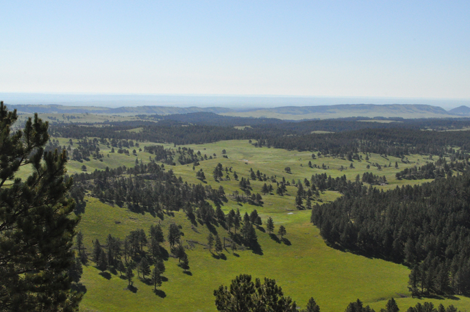 View looking down from Rankin Ridge. Green rolling hill and ponderosa pine dot the prairie landscape.