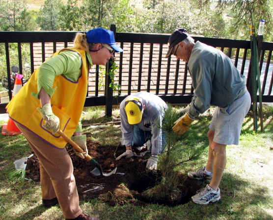 Several Friends of Wind Cave National Park planting a tree in front of the park's visitor center.