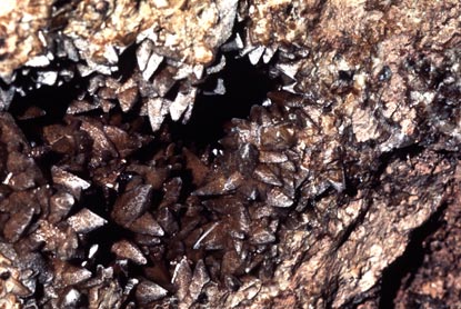 Dogtooth Spar