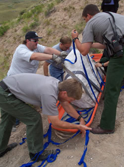 Securing the Fossil in the Litter