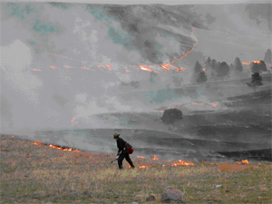 Red Valley Fire