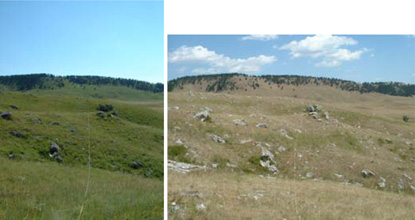 Hillside between NPS-5 and NPS-6