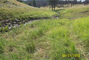 Riparian
