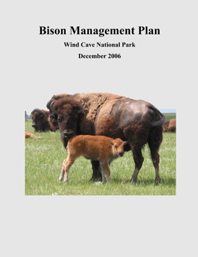 Bison Management Plan - December 2006