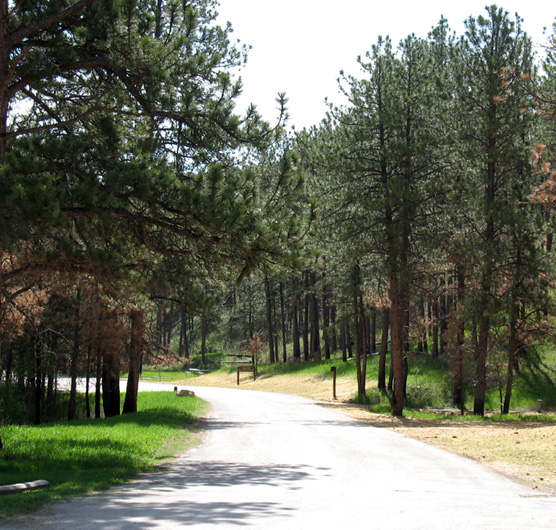 Elk Mountain Campground in Wind Cave National Park Elk Mountain Campground in Wind Cave National Park
