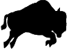 Bison Running Animation