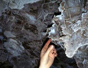 Wind Cave's boxwork