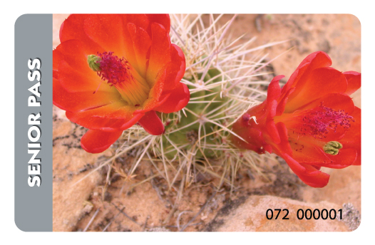 Photo of America the Beautiful – National Parks and Federal Recreational Lands Pass – Senior Pass