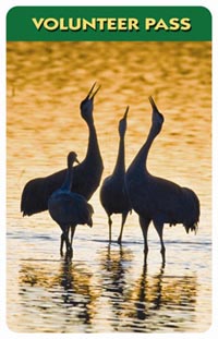 America the Beautiful Federal Lands Annual Pass