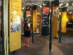 Exhibit of a timeline of women's history events