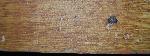 Hand painted wood grain
