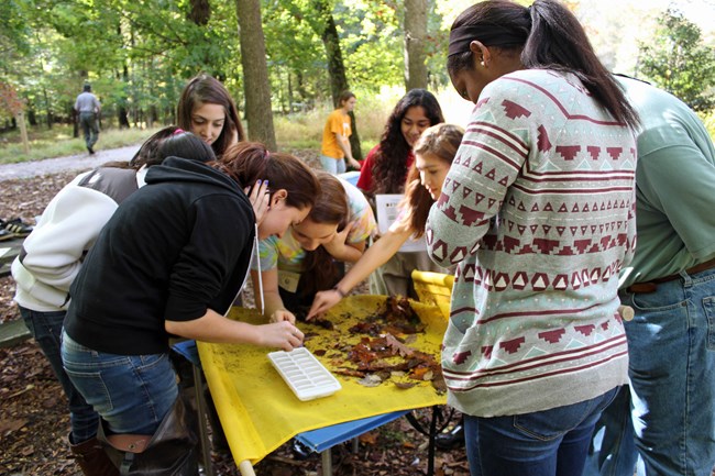 High school volunteers conduct a wildlife study at Wolf Trap National Park for the Performing Arts.