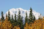 Mount Drum in Fall