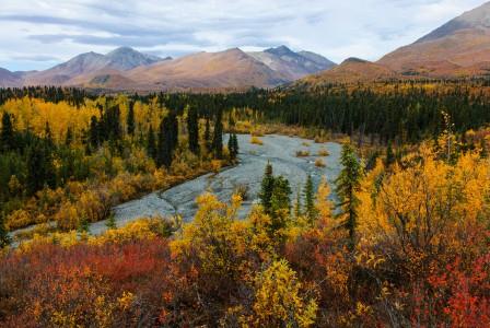 Fall colors on Trail Creek
