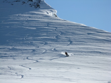 Skier in Chugach